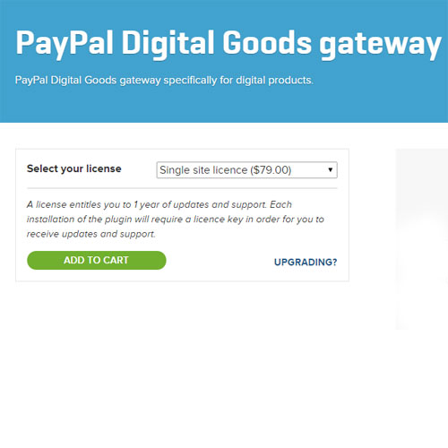paypal digital goods gateway checkout extension
